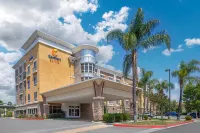 Comfort Suites Ontario Airport Convention Center Hotels in Ontario