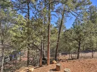 Spring Season Our Cabin Home Backing Preserve with Deck, Grill and Gas Fire Pit Hotels in Pine