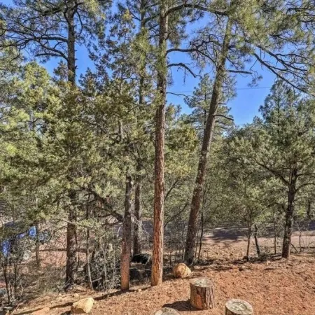 Spring Season Our Cabin Home Backing Preserve with Deck, Grill and Gas Fire Pit