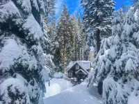 Cozy Yosemite Retreat • Private Hot Tub • BBQ • 2 Mi from Yosemite Hotels in Fish Camp