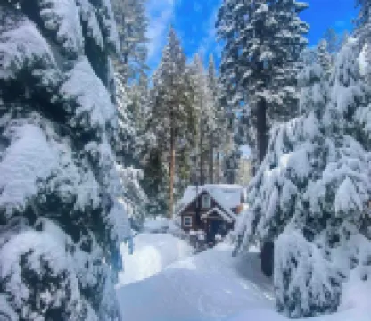 Cozy Yosemite Retreat • Private Hot Tub • BBQ • 2 Mi from Yosemite
