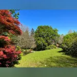 Finca la Peñiga Hotels in Los Tojos