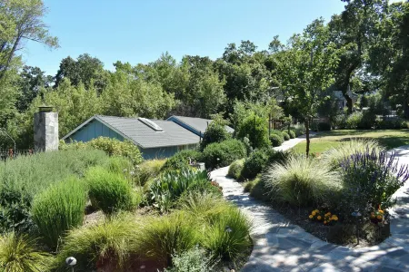 Blue Sky Cottage! Freshly Renovated,  Lovely with Gardens in Sunny Central Marin