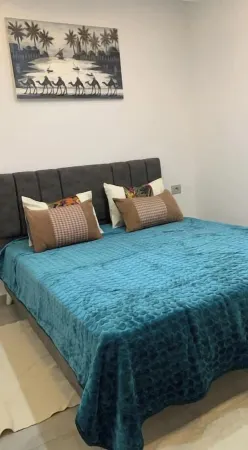 A beautiful apartment in houmet souk