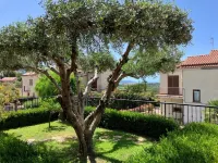 Close to the most convenient and breezy beach in Maratea, with garden and terrace. Hotels in Maratea