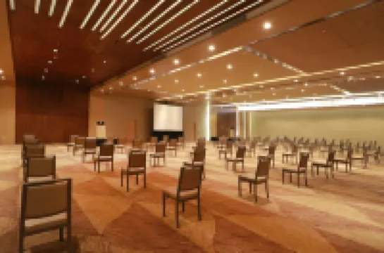 MS Milenium Monterrey, Curio Collection by Hilton