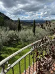 Melachecca:Tuscan chianti villa, private park 2 apt love views