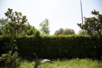 Bright and quiet apartment with private garden between 5 Terre and Portofino.