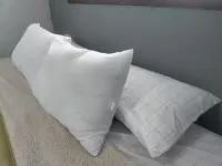 Casa Golondrinas - Ubicación Inmejorable Cerca del Centro y Plazas Comerciales Hotels in 