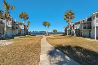 Sand Dollar W-103