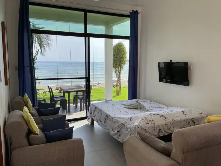 BambooBeachVilla1 New OCEANFRONT*POOL*sunsetview*kitchen STARLINK SAT upto6Guest Отели в г. Dimiao