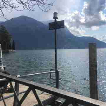 Cosy Studio Castagnola Others