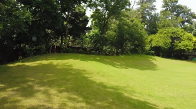 The Bael | A DreamscapeA Luxury Getaway.