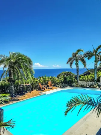 Maison d'hôtes Villa des Mascareignes Отели в г. Петит Иль