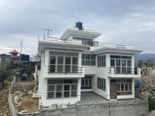 Surrounded by Forest