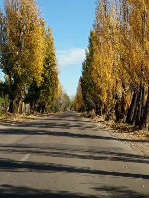 Petit Chateau J&sr En la Ruta del Vino y la Aceituna, Maipu,mza, Argentina Hotels in Maipú