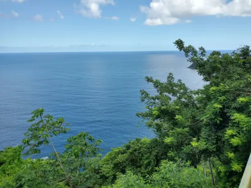 The Bamboo Hotels in Castara