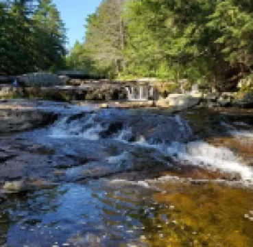 Chalet in the Trees in Jackson, New Hampshire