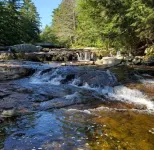 Chalet in the Trees in Jackson, New Hampshire