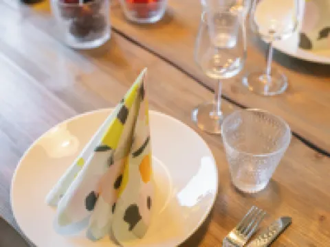 The Elegant Haistila Hotels in Ranua