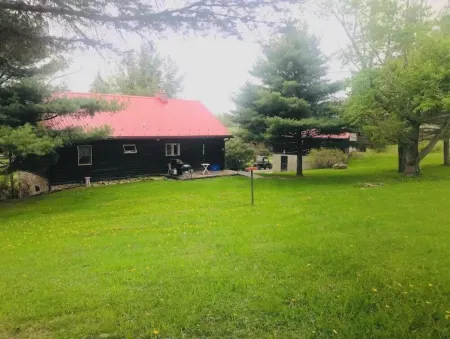 Newly Renovated: Million Dollar Mountain View Getaway!!