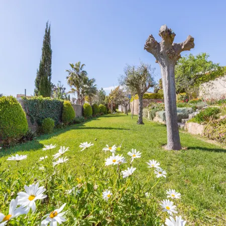 Villa in Blanes with Private Pool