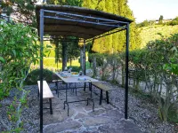 Chianti Hillside Farmhouse - Homestays