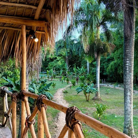 Dominican Jungle Resort