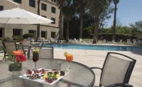 Holiday Inn CORDOBA by IHG - piscina