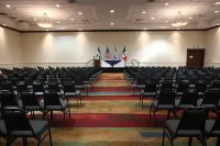 Holiday Inn SAN SALVADOR by IHG - Business