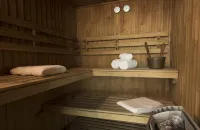 聖地亞哥機場航廈假日飯店 - SPA