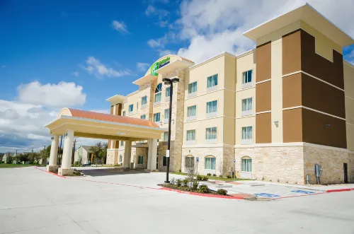 Holiday Inn Express & Suites TEMPLE - MEDICAL CENTER AREA by IHG