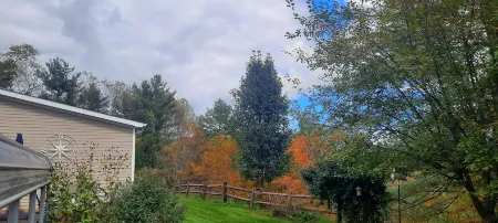 Mountain Retreat in Blue Ridge Mountains. Privacy!  Owner Managed. Отели в г. Пайн Суомп