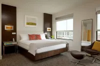 The Alexander