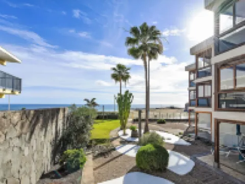 Papagayo San Agustin