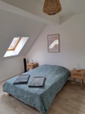 Apartment Historic Center Colmar with free private parking