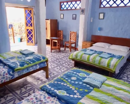 penguin Hotels in Puerto Ayora