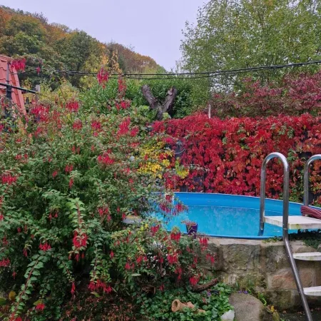 Gemutliches Ferienhaus Mit Pool in Blankenburg