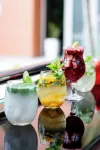 Hodelpa Garden Court - bar