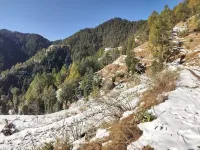 Summer Hill Resort Hotele w: Chail