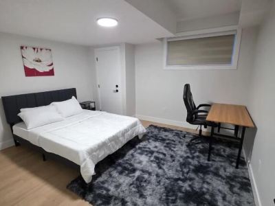 Cozy Irvine Creek Walk-out Suite 10 Mins to YEG