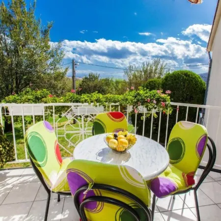 Pet Friendly Stay