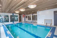 Sandman Signature St. John's Hotel - pet friendly