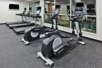 蒙哥馬利普拉特維爾-米爾布魯克萬豪SpringHill Suites酒店 - 停車場