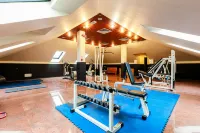 Hotel Excelsior Magenta - Gym