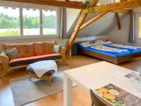 ARN's Dachstudio Hotels in Wangen District