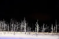 Stay in Biei Hoteles en Biei