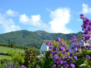 Private Eco-friendly Holiday cottage with sea and mountain view.