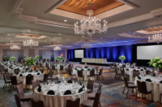 The Camby, Autograph Collection