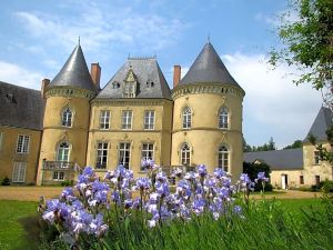 Château de Vaulogé